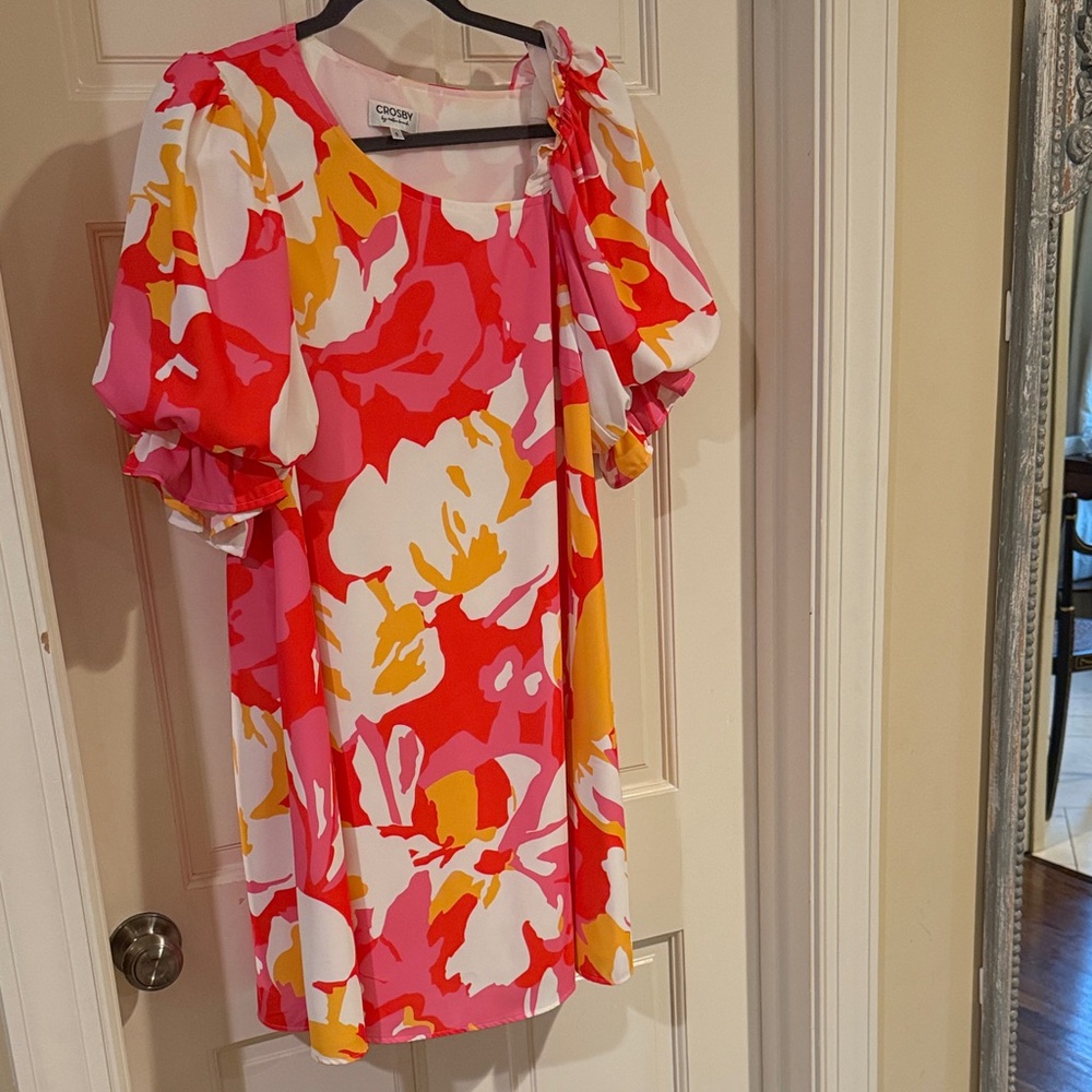 CROSBY by Mollie Burch Bold Floral Mini Dress
